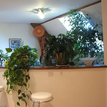 Le Pas De L'ane D'hôtes Saint-Ondras